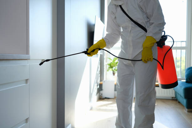 Mold Removal for HVAC Installations